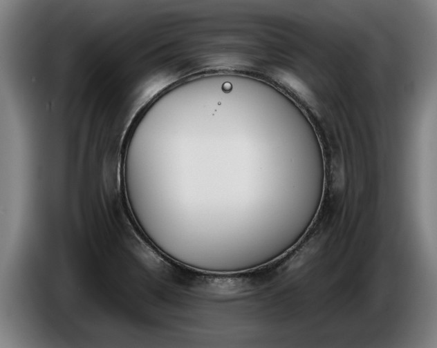 X0000086761322200704201737