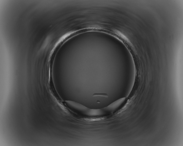 X0000086761323200704201737