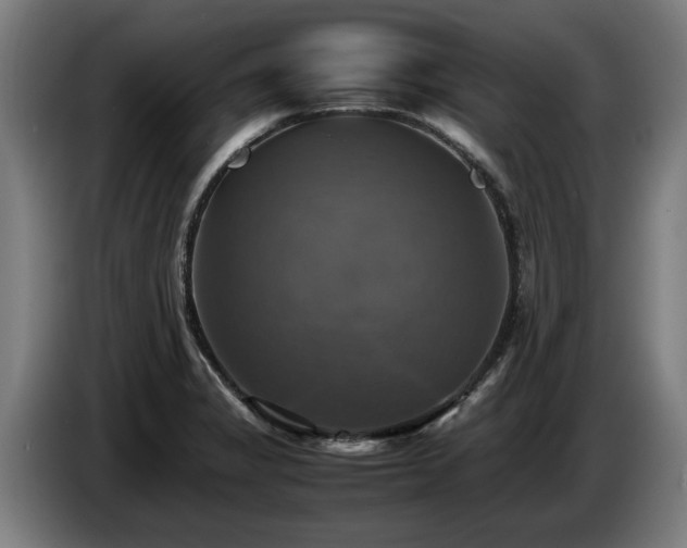 X0000086761325200704201737