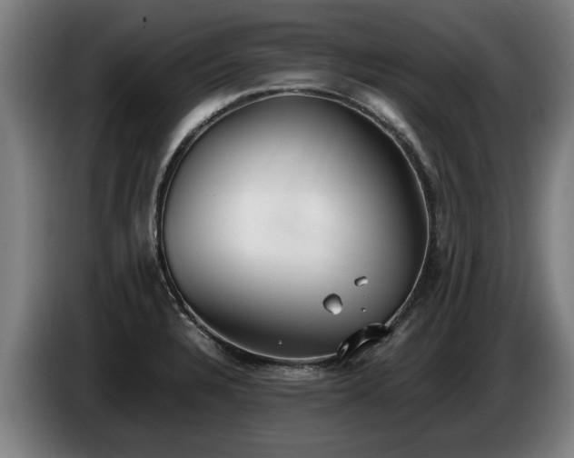 X0000086761328200704201737