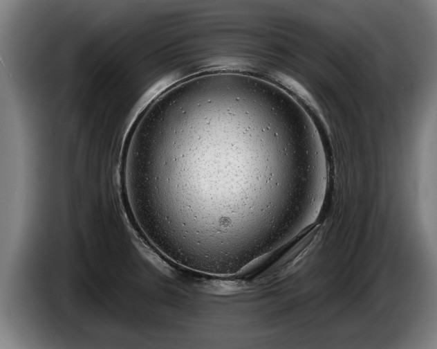 X0000086761330200704201737
