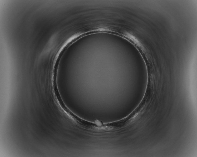 X0000086761331200704201737