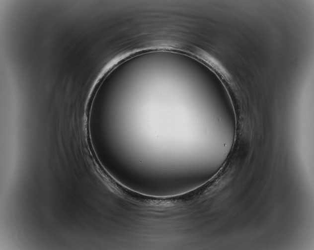 X0000086761332200704201737