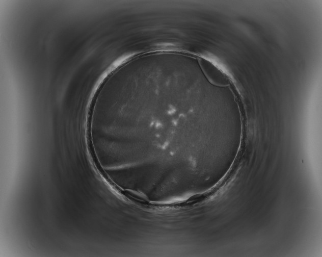X0000086761333200704201737