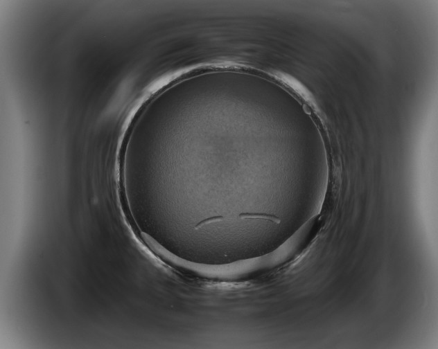 X0000086761335200704201737
