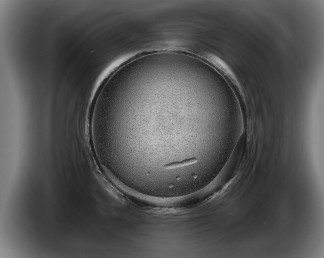 X0000086761336200704201738