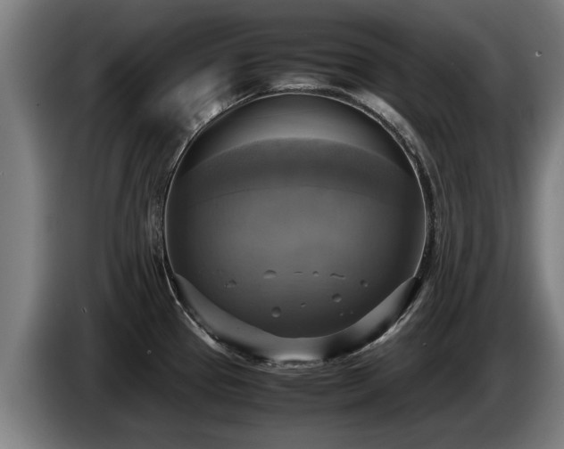 X0000086761337200704201738