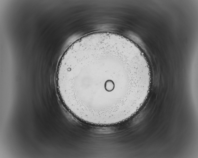 X0000086761338200704201738