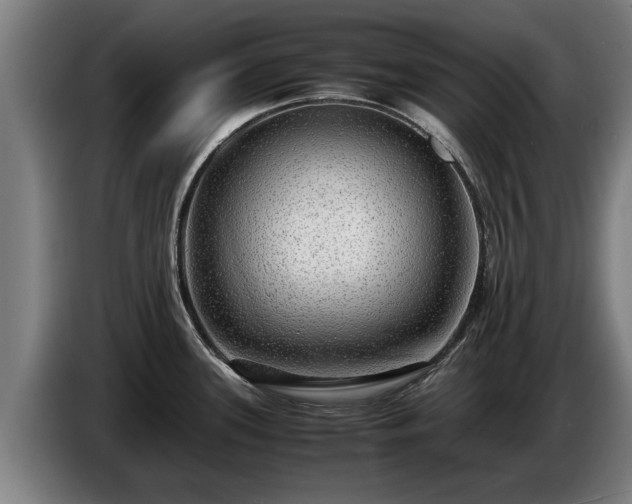 X0000086761339200704201738