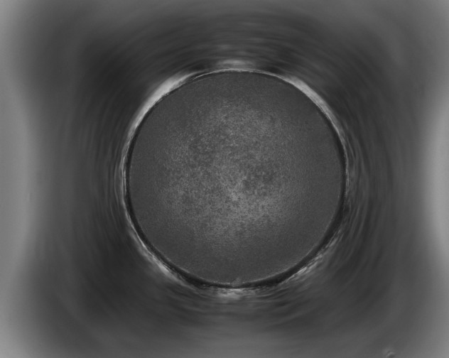 X0000086761341200704201738