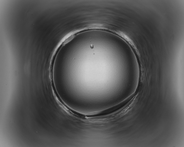 X0000086761342200704201738