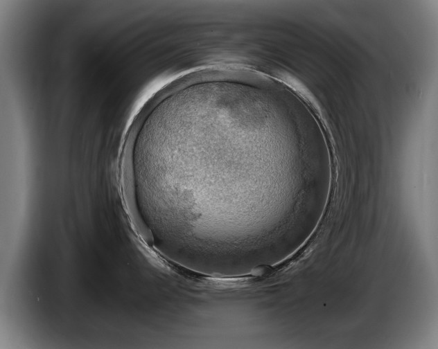 X0000086761344200704201738