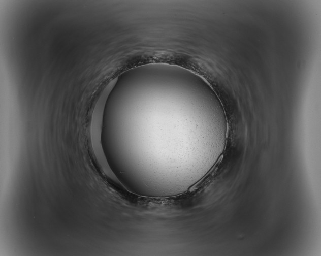 X0000086761345200704201737