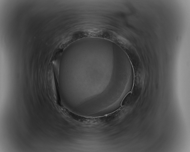 X0000086761346200704201737
