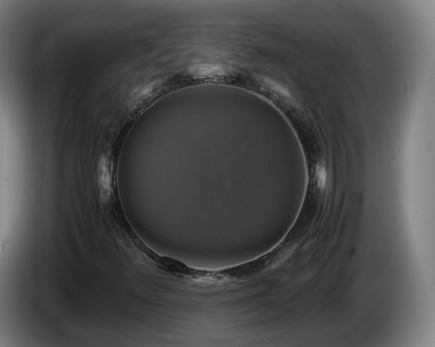X0000086761348200704201737