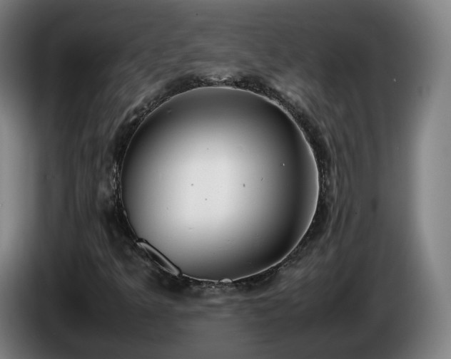 X0000086761349200704201737