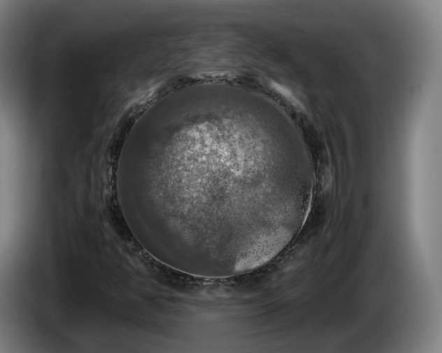 X0000086761350200704201737