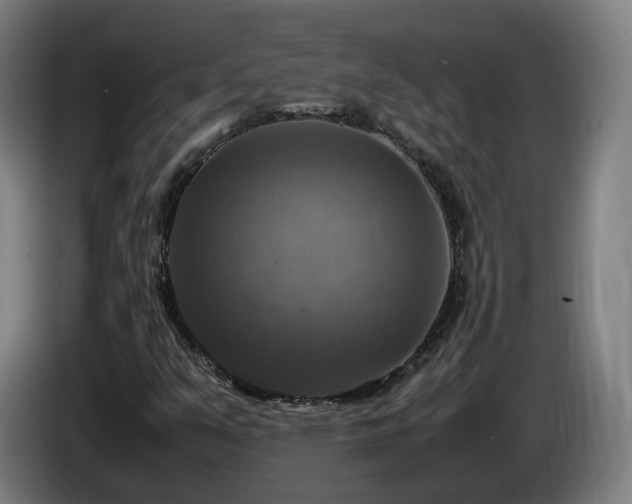 X0000086761351200704201737