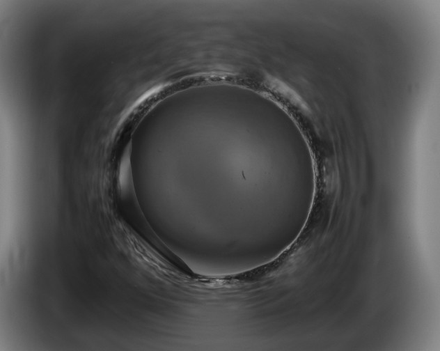 X0000086761352200704201737