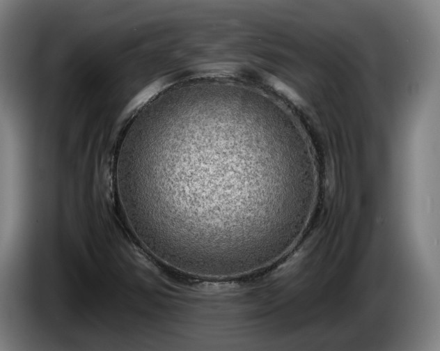 X0000086761354200704201737