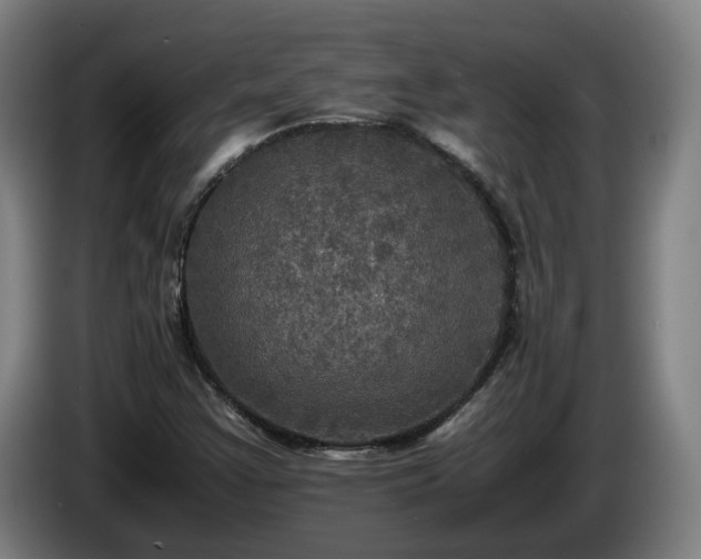 X0000086761355200704201737
