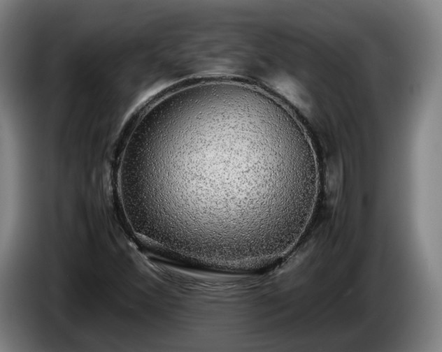 X0000086761356200704201737