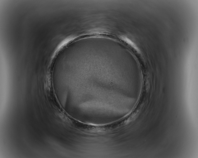 X0000086761358200704201737