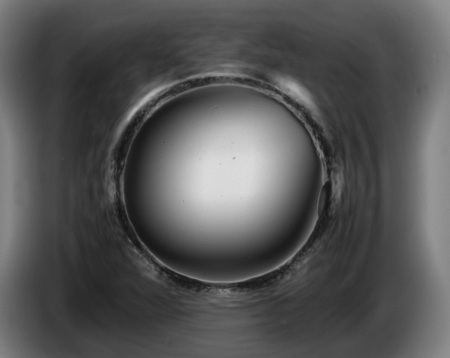X0000086761360200704201737