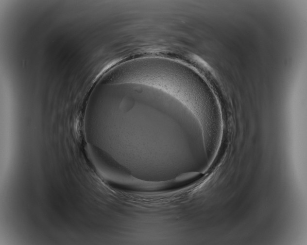 X0000086761361200704201737
