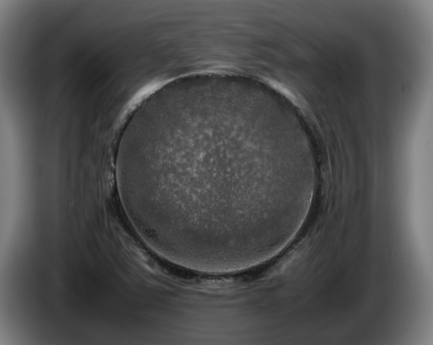 X0000086761363200704201737