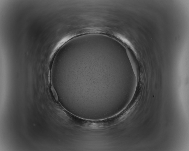 X0000086761365200704201737