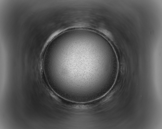 X0000086761366200704201737