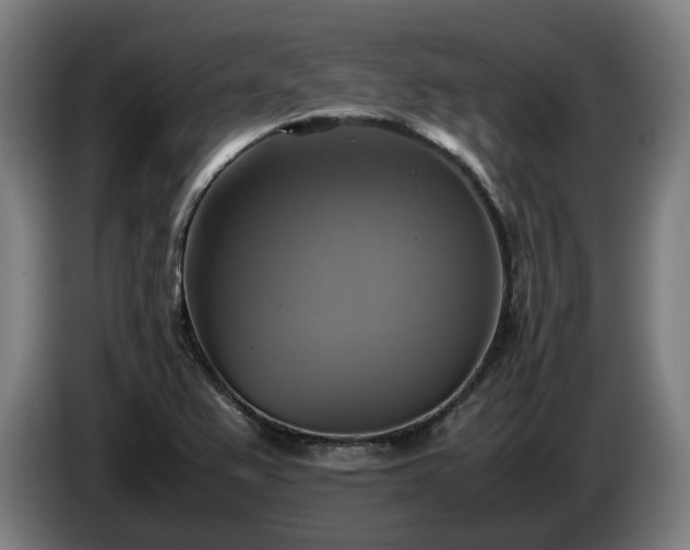 X0000086761367200704201737