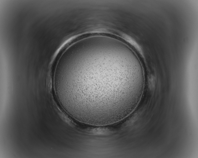 X0000086761368200704201737