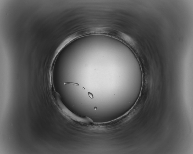 X0000086761370200704201737
