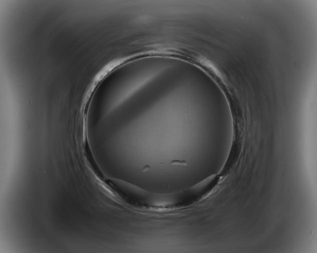 X0000086761371200704201737