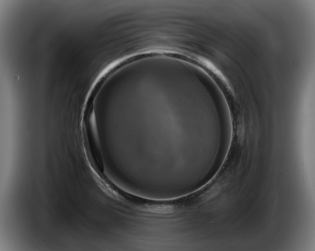 X0000086761372200704201737