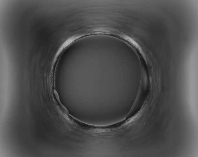 X0000086761373200704201737