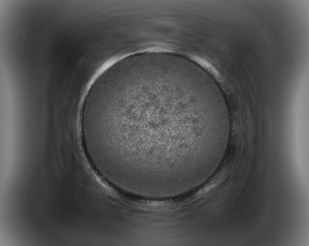 X0000086761375200704201737