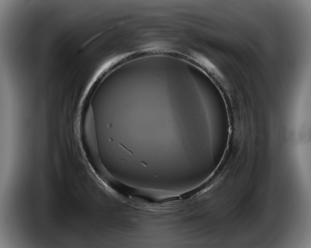 X0000086761376200704201737