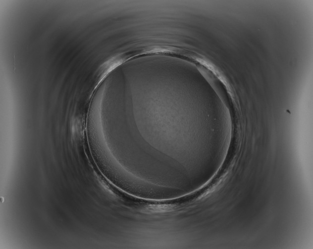 X0000086761377200704201737