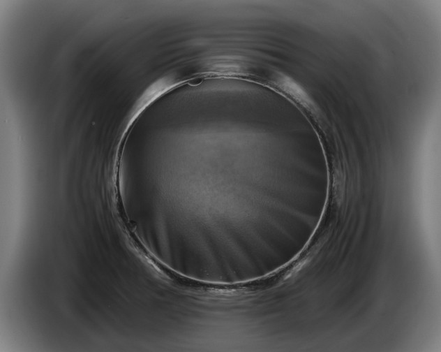 X0000086761378200704201737