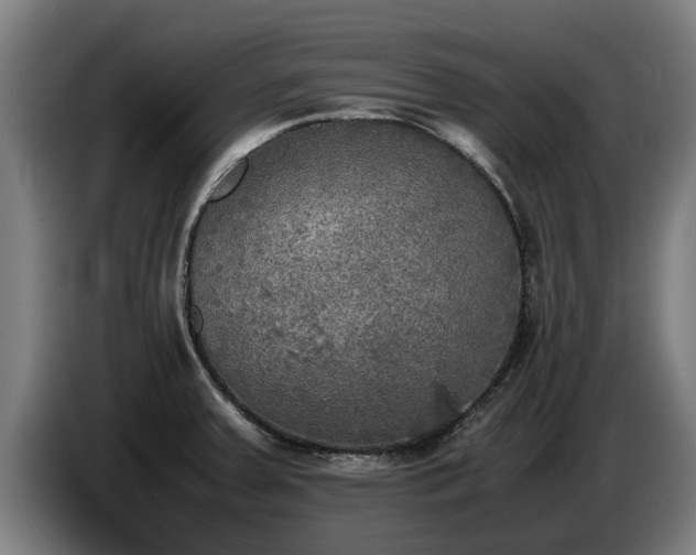 X0000086761379200704201737