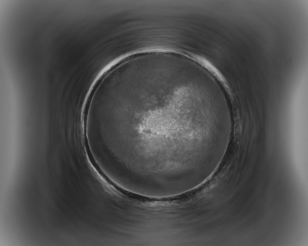 X0000086761380200704201737