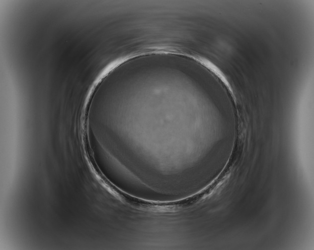 X0000086761381200704201737