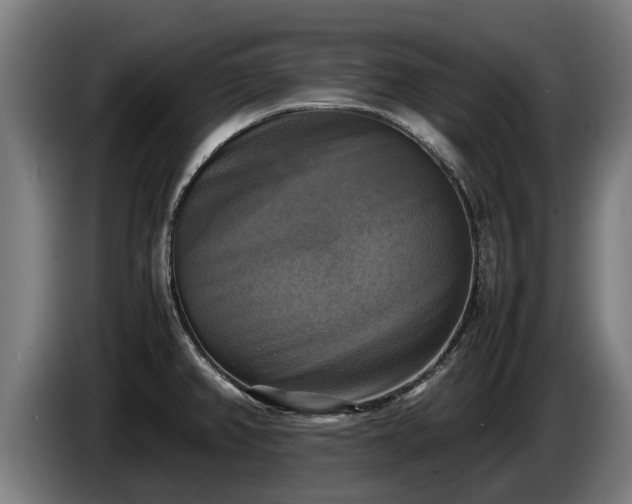 X0000086761382200704201737