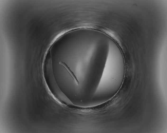 X0000086761383200704201737