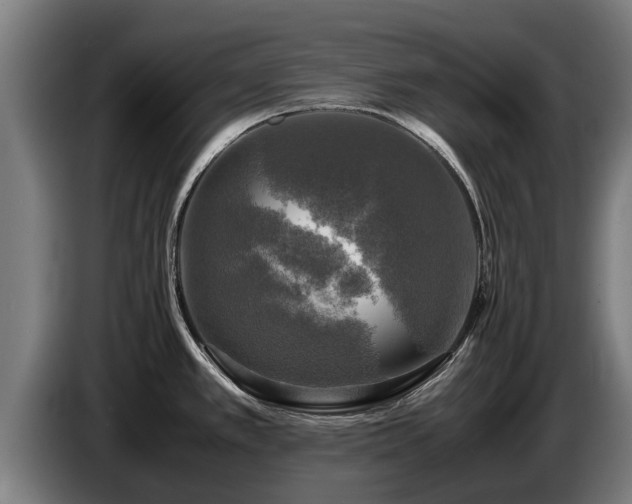 X0000086761389200704201736