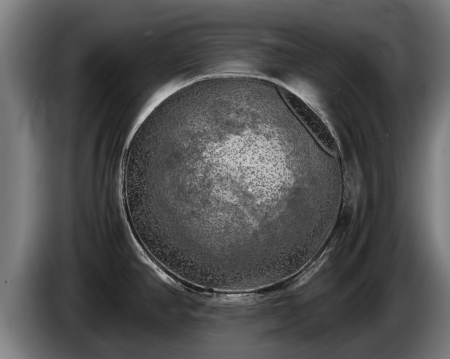 X0000086761390200704201736