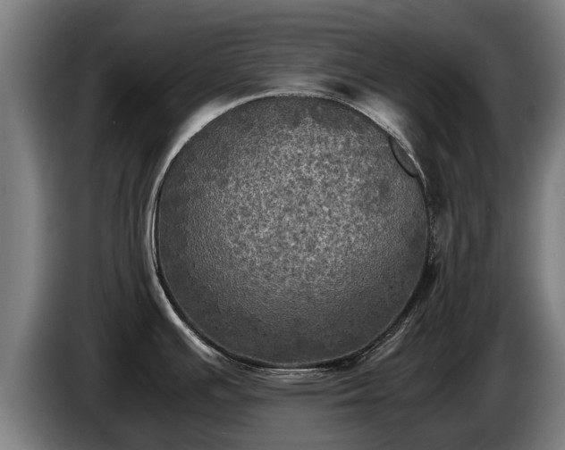 X0000086761391200704201736